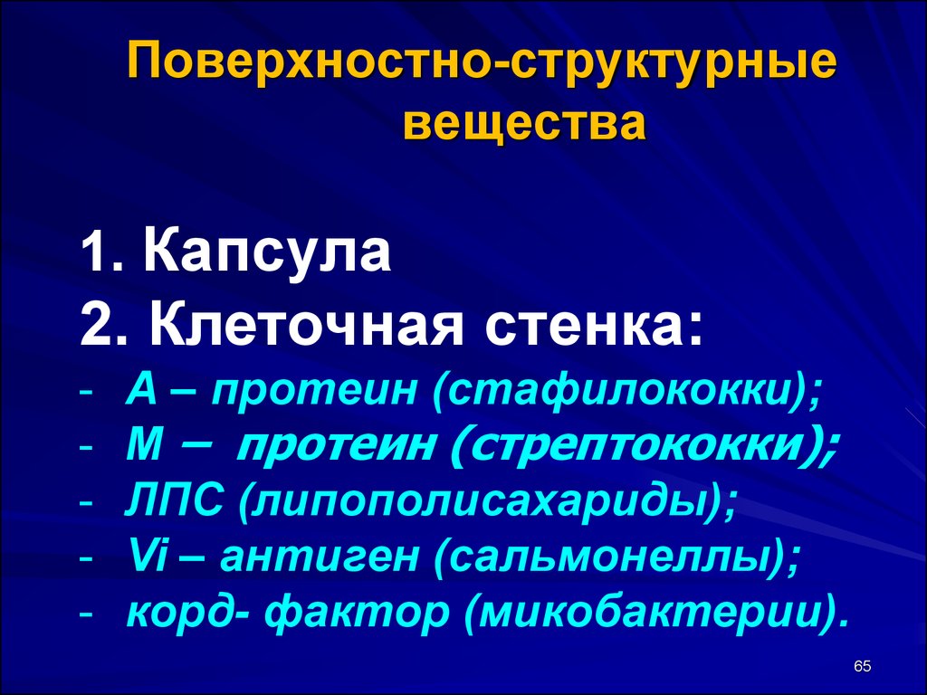 Vi антиген. Учение об инфекции презентация.