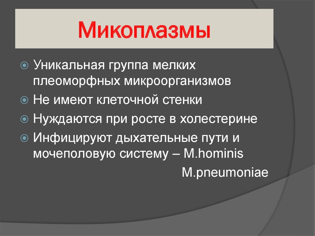 Устойчивость микоплазм. Микоплазмы устойчивы к:. Микоплазма коллектив очаговая. Плеоморфные это в микробиологии.