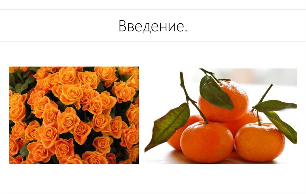 Введение.