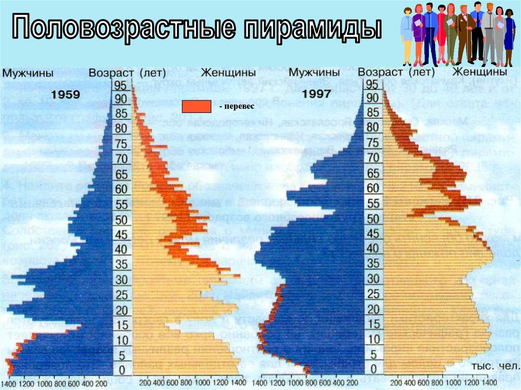 Сравните показания пирамид на рисунке 90 какие изменения в половозрастном составе населения россии