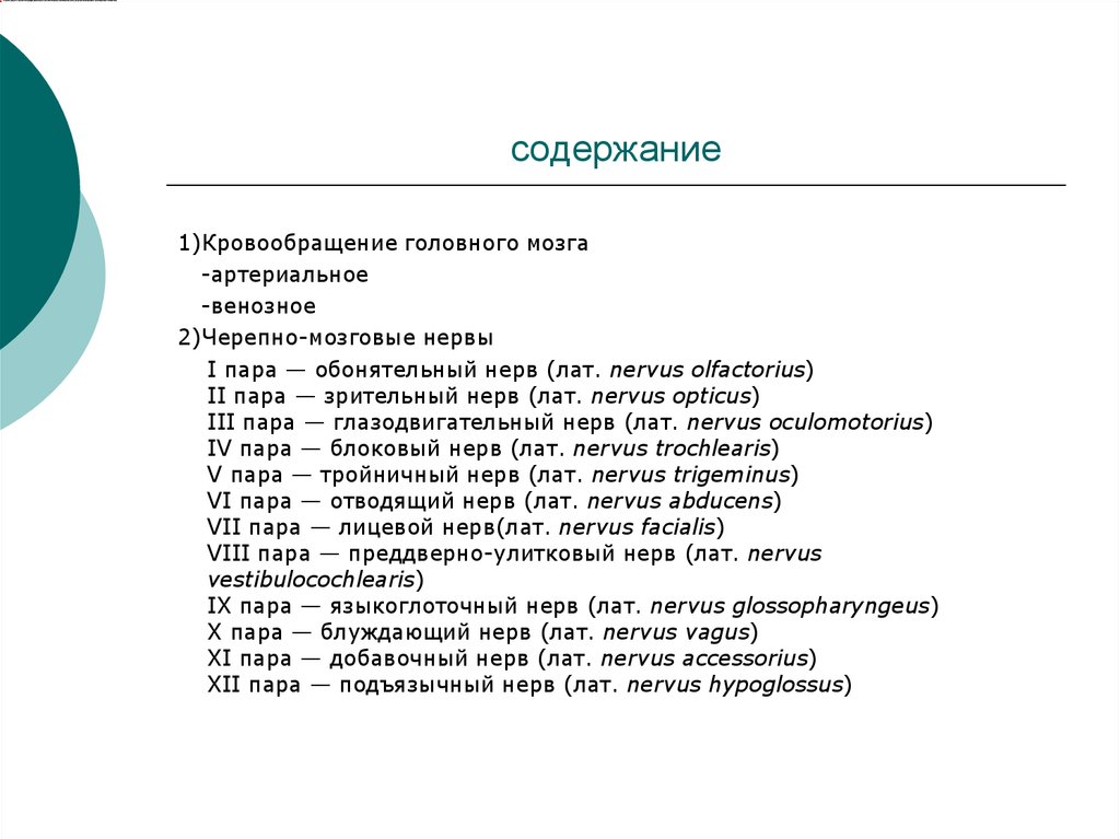 содержание