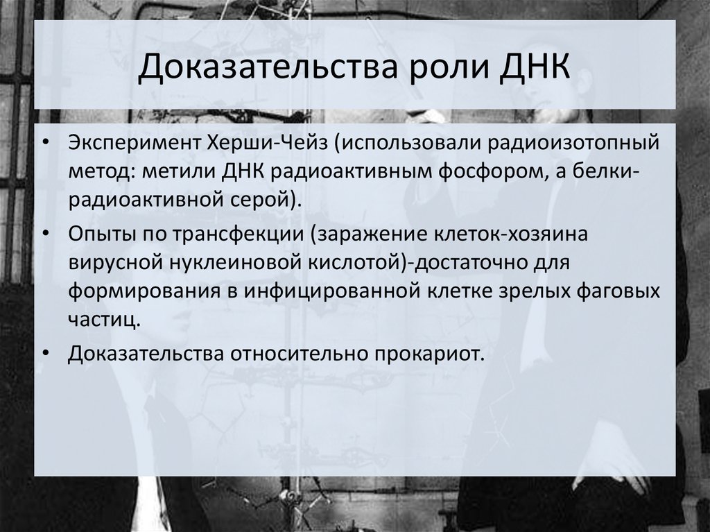 Доказал роль. Доказательство роли ДНК. Доказательства роли ДНК В передаче наследственной информации. Доказательства биологической роли ДНК В клетке. Доказательство роли ДНК В наследственности.