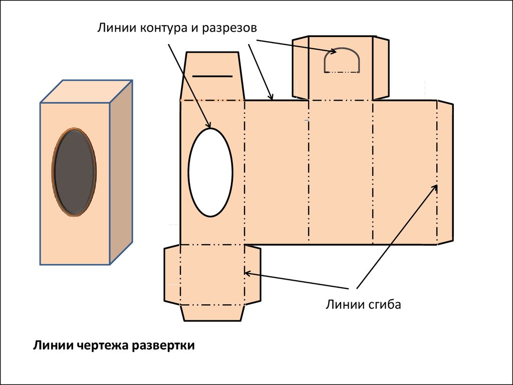 Как показывают линии сгиба