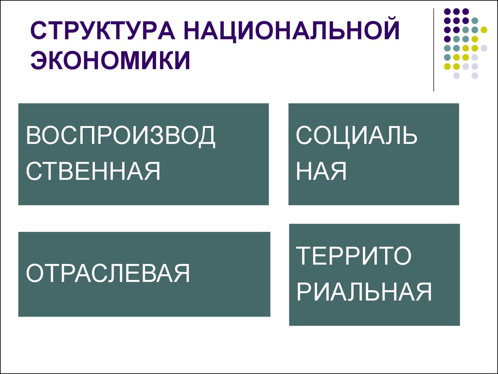 Деление экономика. Отраслевая структура макроэкономики. Структура национальной экономики презентация. Национальная экономика примеры. Что входит в структуру национальной экономики.