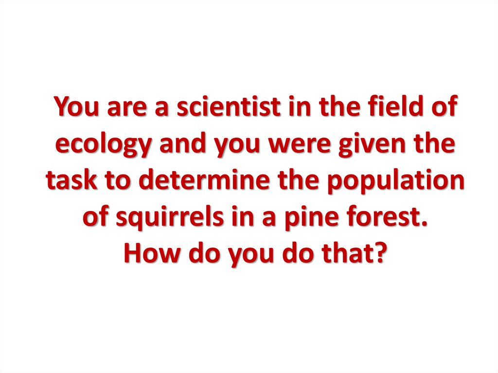 You are a scientist in the field of ecology and you were given the task to determine the population of squirrels in a pine forest. How do you do that?
