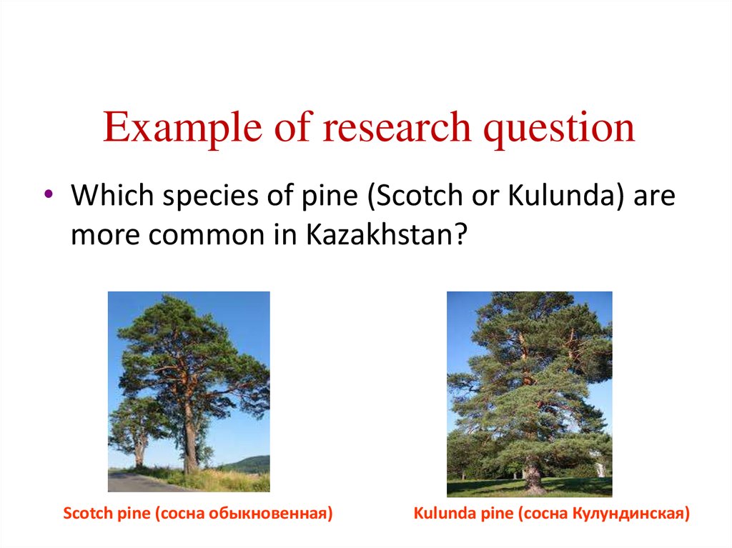 Example of research question