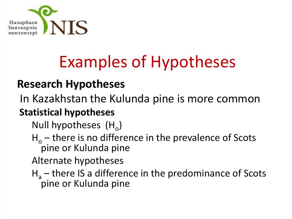 Examples of Hypotheses