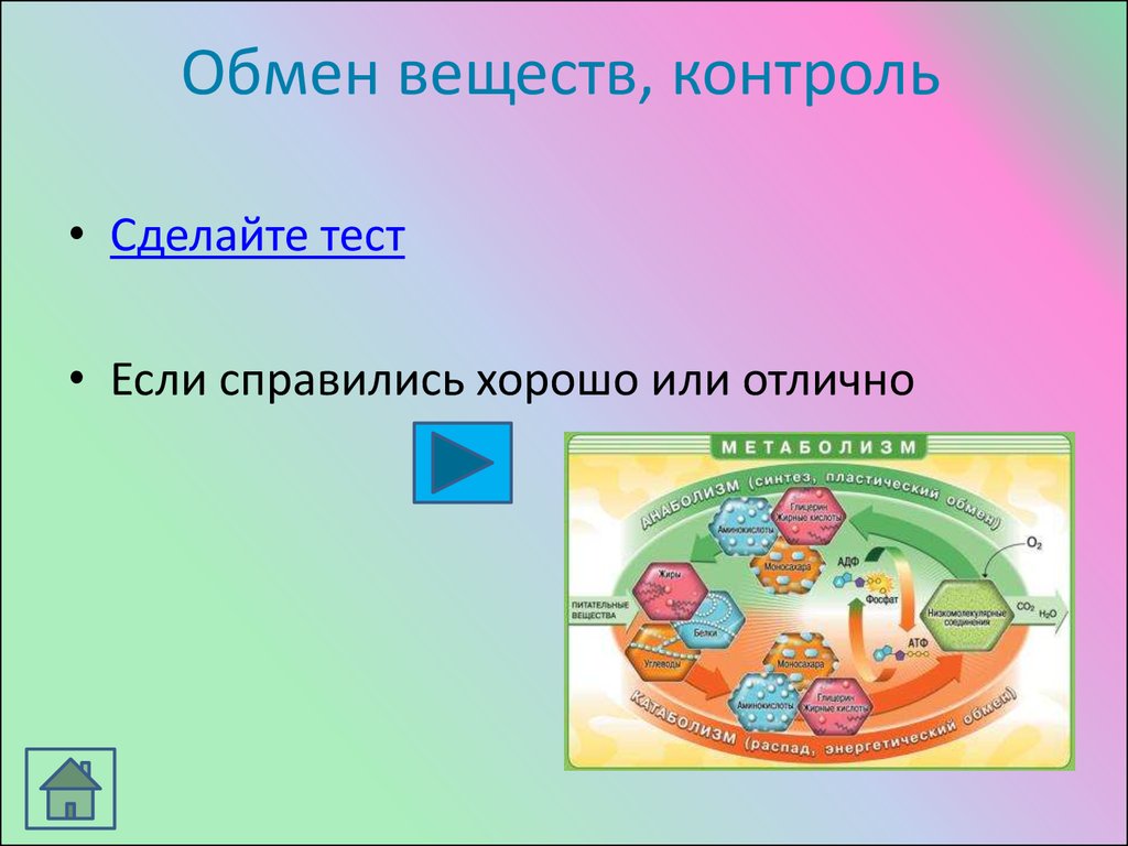 Контроль веществ. Обмен веществ картинки. Обмен веществ тест. Обмен веществ контролируем?. Обмен веществ это 1 класс.