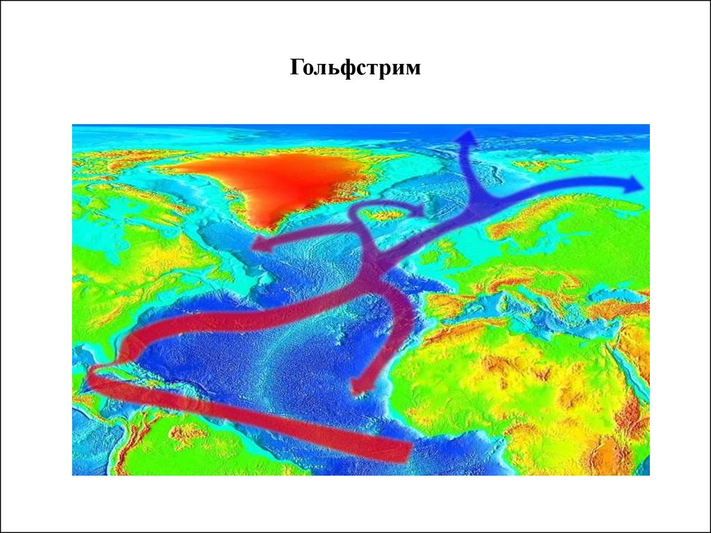 Прочитайте два гольфстрима расположенный