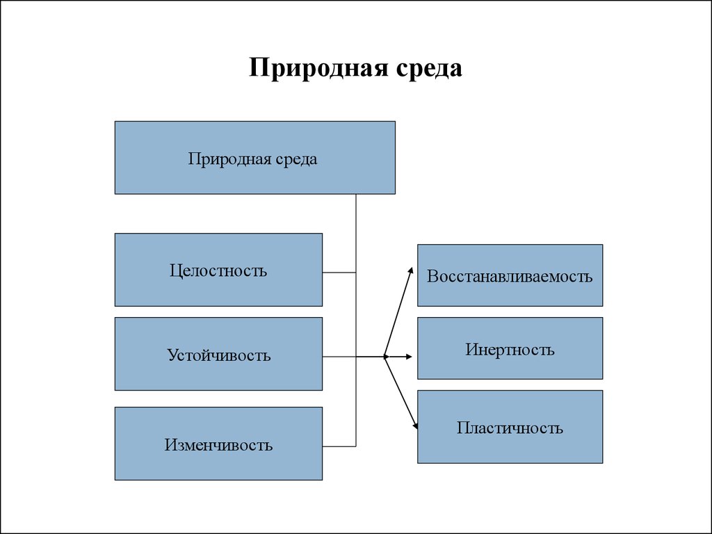 Естественная среда. Природная среда. Понятие природной среды. Структура природной среды.