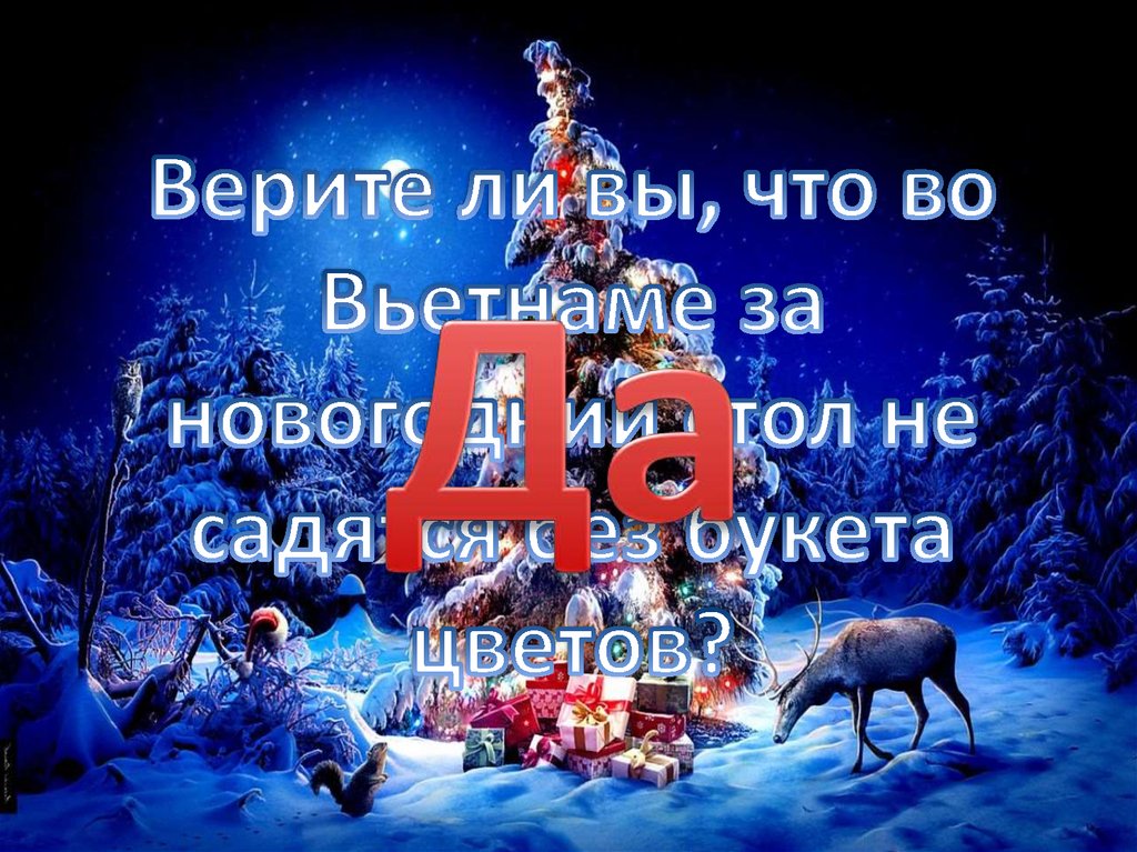 Верите ли вы, что во Вьетнаме за новогодний стол не садятся без букета цветов?