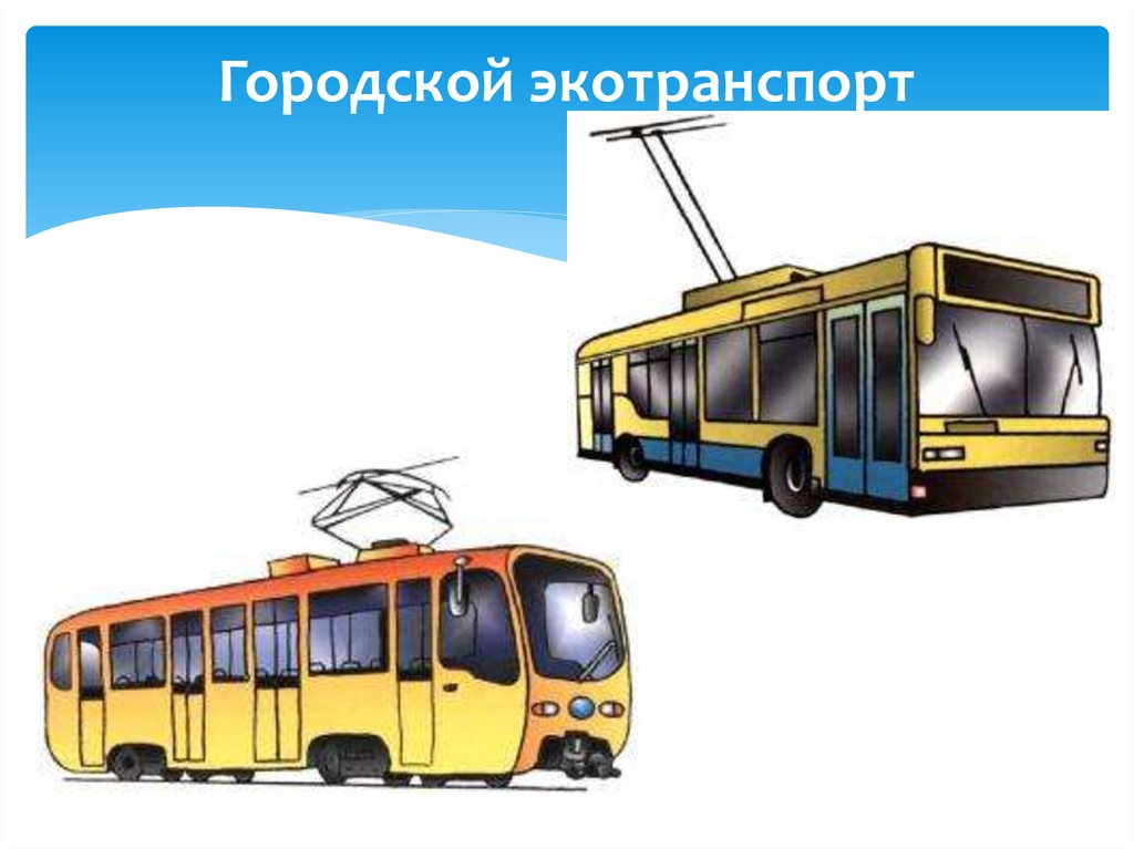 Тип городского транспорта