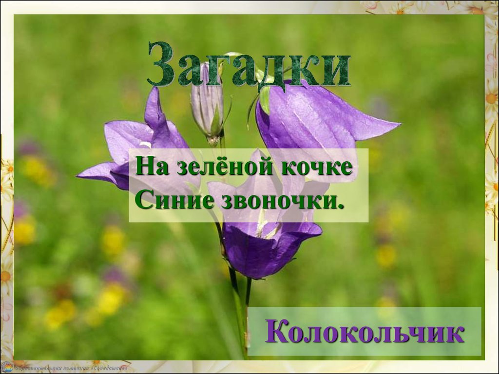 Изменения в неживой природе летом 1 класс презентация