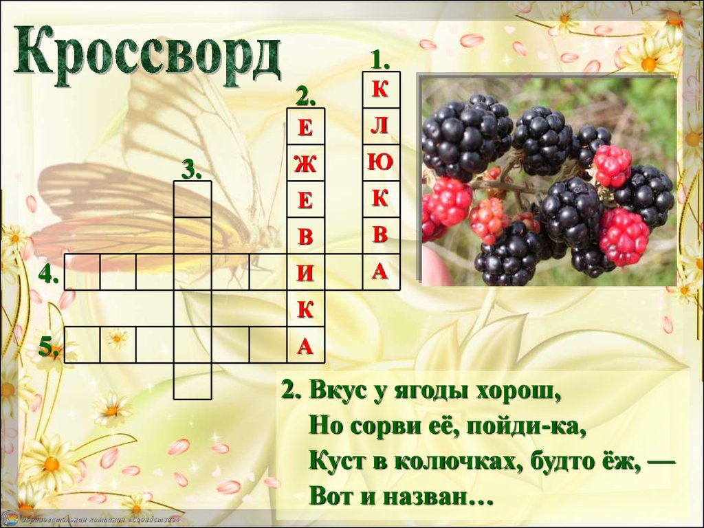 Изменения в неживой природе летом 1 класс презентация