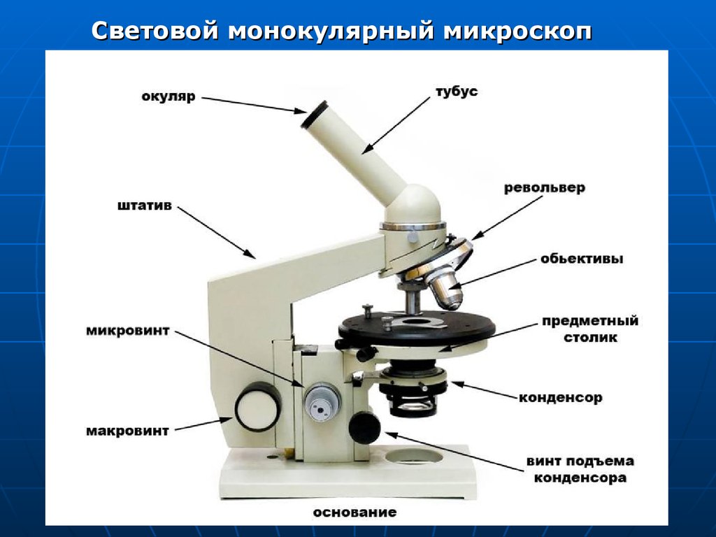 Микробиологическая лаборатория и ее задачи. Микроскоп и работа с ним.  Морфология шаровидных бактерий - презентация онлайн