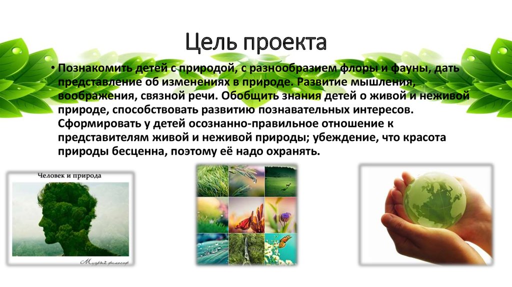 Живая природа цель. Проект Живая и неживая природа. Тема проекта Живая и неживая природа. Цель проекта живое и неживое. Живая неживая природа исследовательская работа.