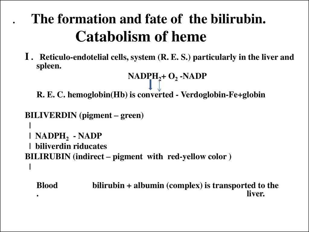 . The formation and fate of the bilirubin. Catabolism of heme