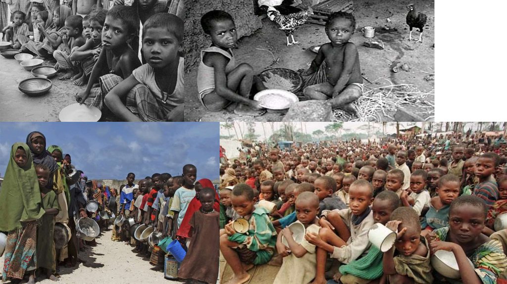 Проблема голода в мире
