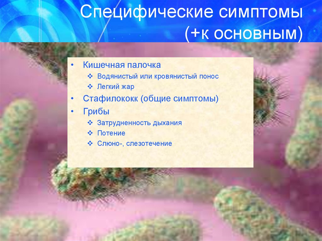 Кишечная палочка лечение. Признаки кишечной палочки. Кишечная палочка симптомы. Симптомы кишечной Пало. Заболевания при кишечной палочке.