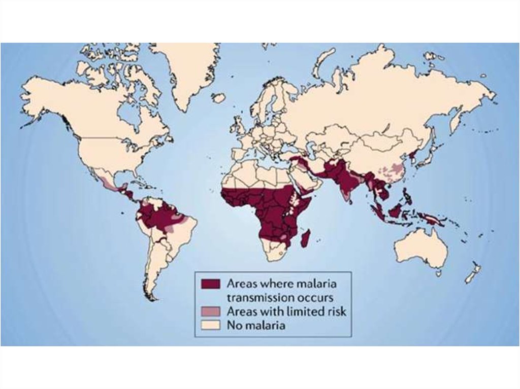 Малярия распространена. Карта распространения малярии. Распространение малярии в мире. Малярия в Азии.