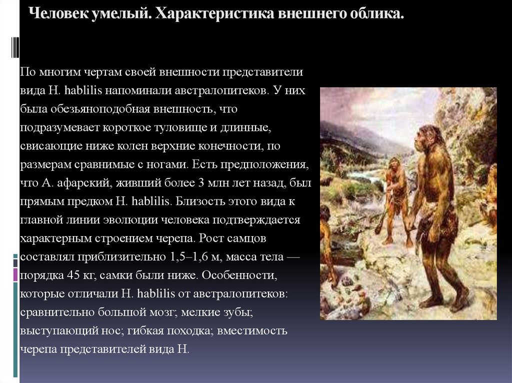 Черты внешнего облика. Хомо хабилис характеристика. Человек умелый характеристика. Внешний облик человека умелого. Человек умелый внешний вид.