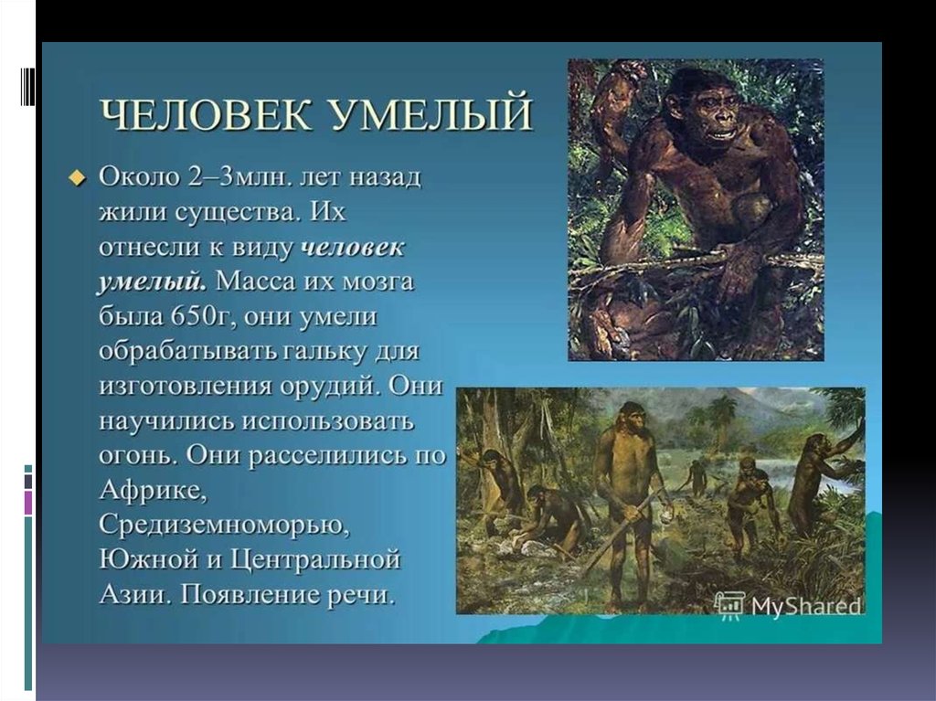 Рост человека умелого. Где и когда жил человек умелый. Человек умелый. Человек умелый презентация. Человек умелый орудия труда.