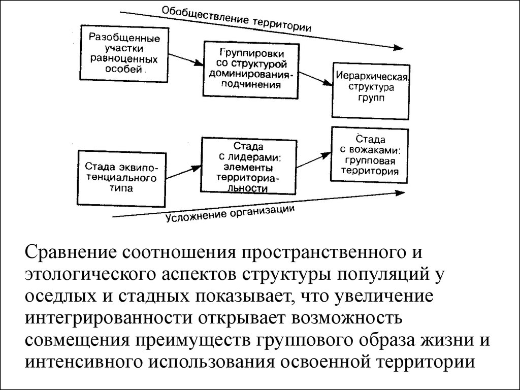 Элементы территории. Иерархическая структура популяций. Иерархическая структура популяций человека.. Группировки в иерархической структуре популяций. Биологические преимущества группового образа жизни.