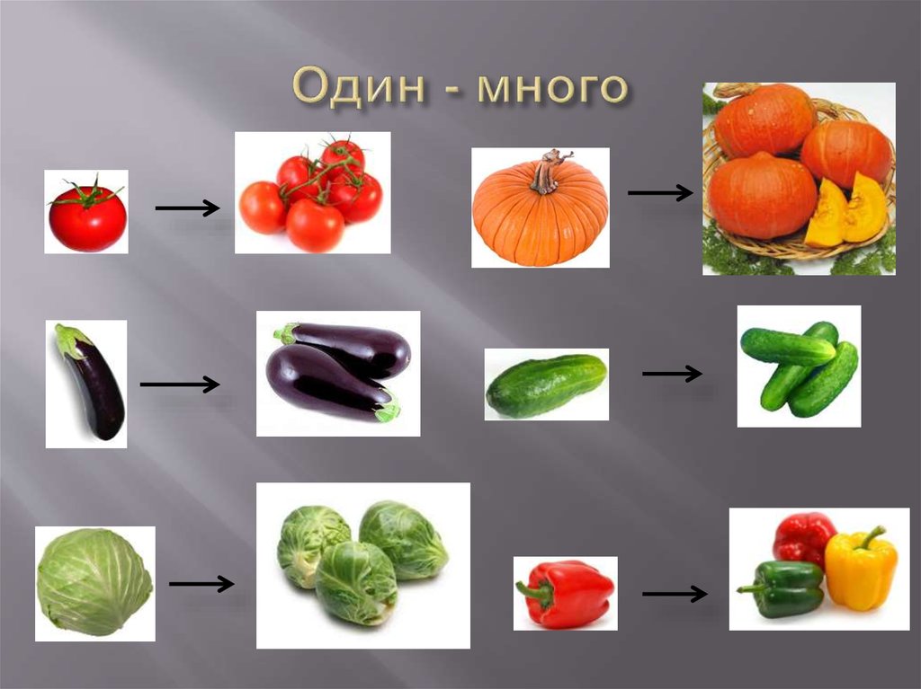 Фрукты один много картинки для детей