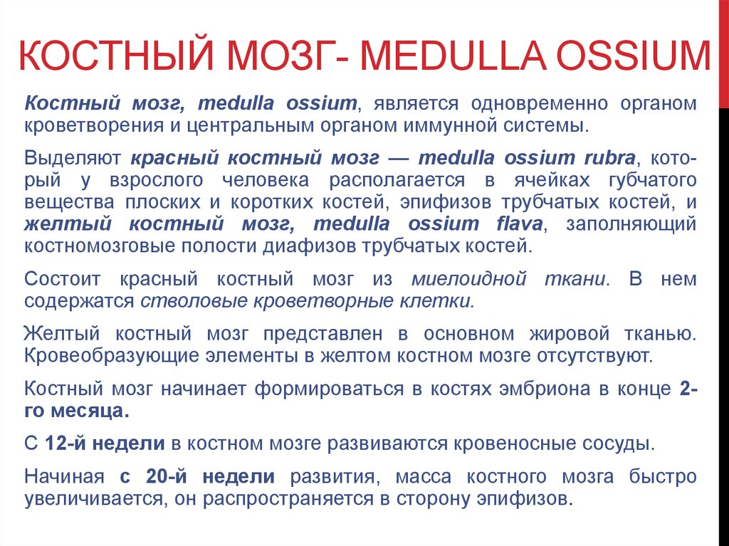 Жировая конверсия. Реконверсия костного мозга. Реконверсия красного костного мозга мрт. Реконверсия костного мозга бедренной кости.