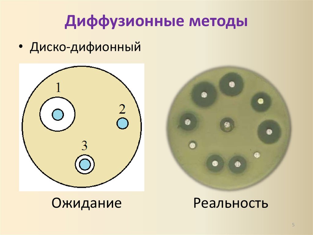 Диффузная реакция. Чувствительность к антибиотикам диско-диффузионным методом. Диско-диффузионный метод ( метод бумажных дисков). Диско диффузионный метод. Дискодтфузионный метод.