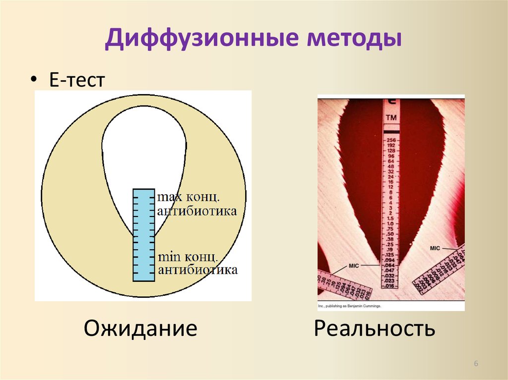 Диффузионно взвешенное изображение