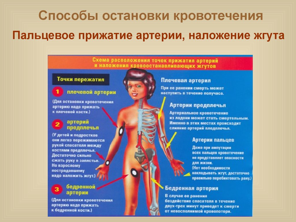 Первая медицинская помощь при кровотечениях и ранениях обж 11 класс презентация