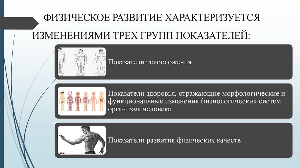 Развитие физических данных. Показатели физического развития характеризуются. Три группы показателей физического развития. Развитие характеризуется. Физическое развитие характеризуется изменениями групп показателей.