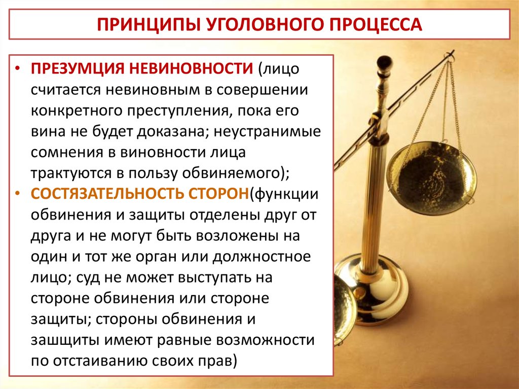 Упк рф принципы уголовного судопроизводства