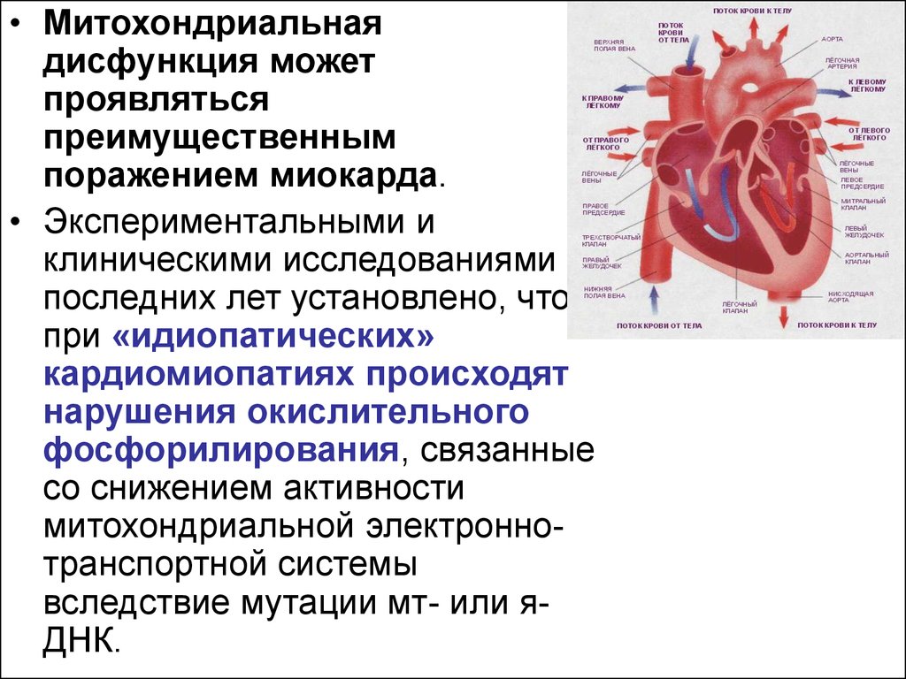 Синдром пирсона презентация