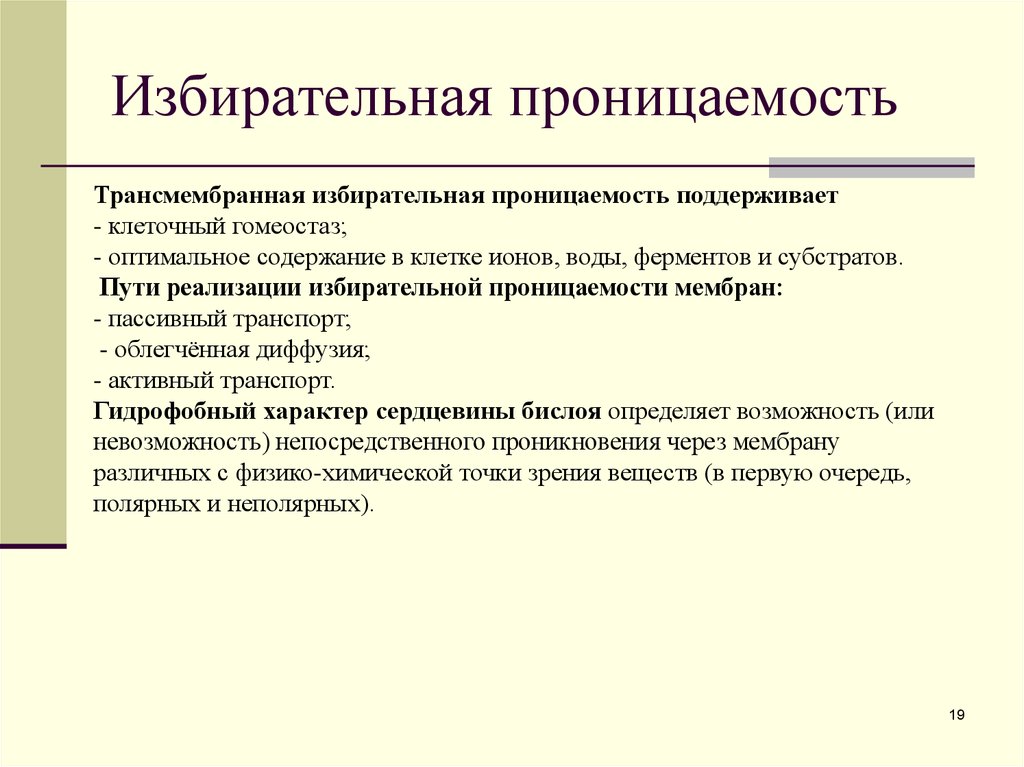 Избирательная проницаемость клеточной мембраны. Избирательная проницаемость клеточной мембраны связана с. Избирательная проницаемость клетки обеспечивается. Избирательная проницаемость функция мембраны.