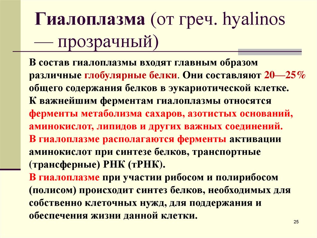 Гиалоплазма. Гиалоплазма свойства и состав и функции. Строение и функции гиалоплазмы. Химический состав гиалоплазмы. Гиалоплазма состав и функции.