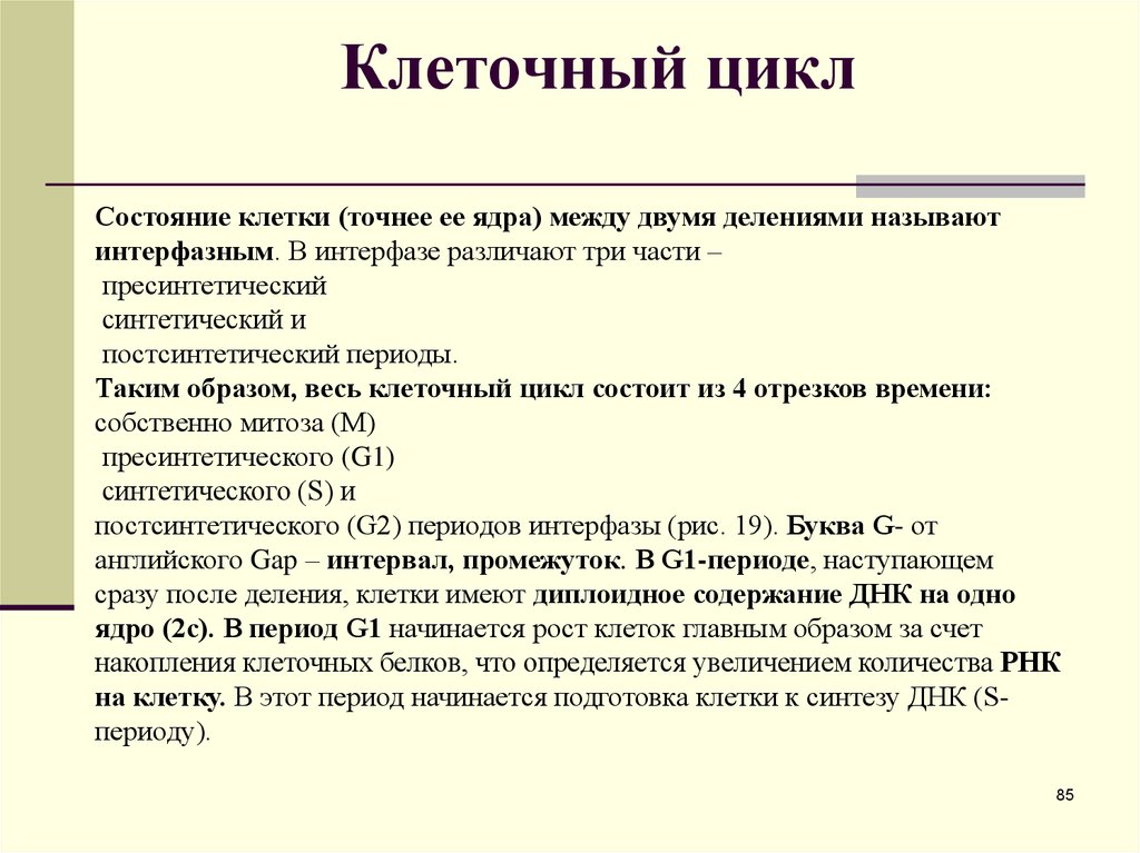 Подготовка клетки. Состояние клетки между ее делениями. Клетка в состоянии между делениями. Период между двумя делениями клетки называется. Период существования клетки между 2 делениями называется.