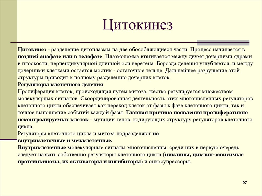 Цитокинез. Процесс цитокинеза. Цитокинез это Разделение цитоплазмы. Цитокинез в растительной и животной клетки.