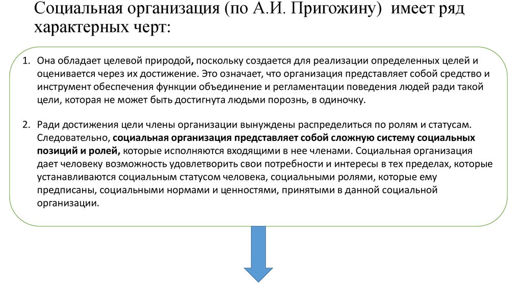 Социальная организация (по А.И. Пригожину) имеет ряд характерных черт:
