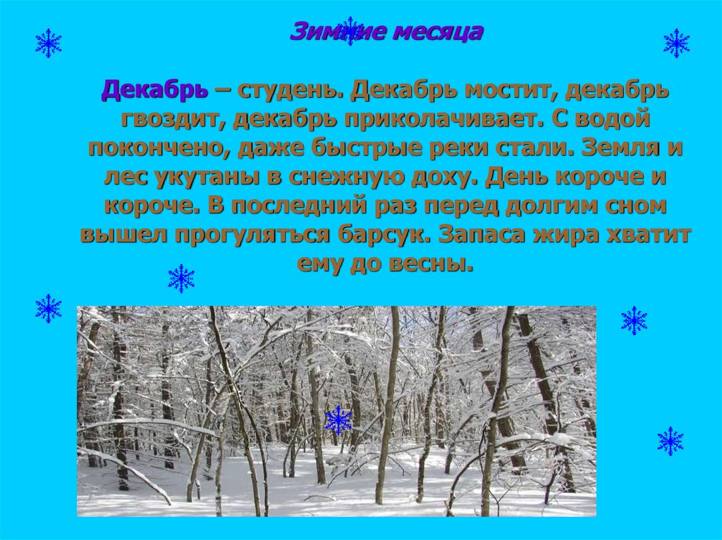 Путешествие в зимний лес средняя группа презентация