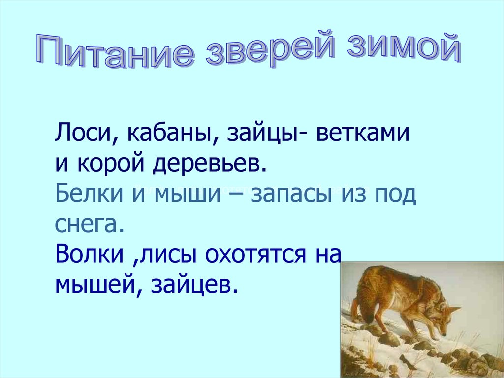 Дикие животные зимой презентация