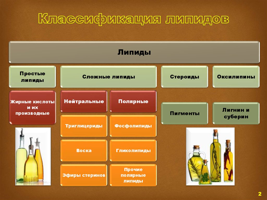 Липиды что входит. Классификация липидов. Липиды жиры классификация. Простые липиды. Простые и сложные липиды примеры.