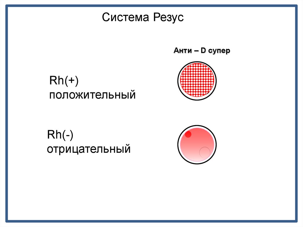 Резус фактор у обезьян. Диаграмма резус фактора. Основные антигенные системы крови человека. Диаграмма резус фактора у людей. Группы крови по системе АВО.