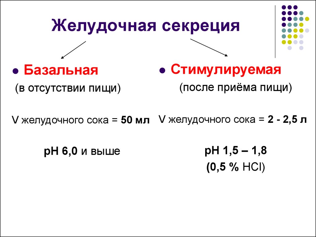 Стимулированная секреция желудка. Базальная секреция желудка соляной кислоты. Фазы желудочной секреции базальная стимулированная. Базальная секреция соляной кислоты. Базальная секреция желудочного сока.