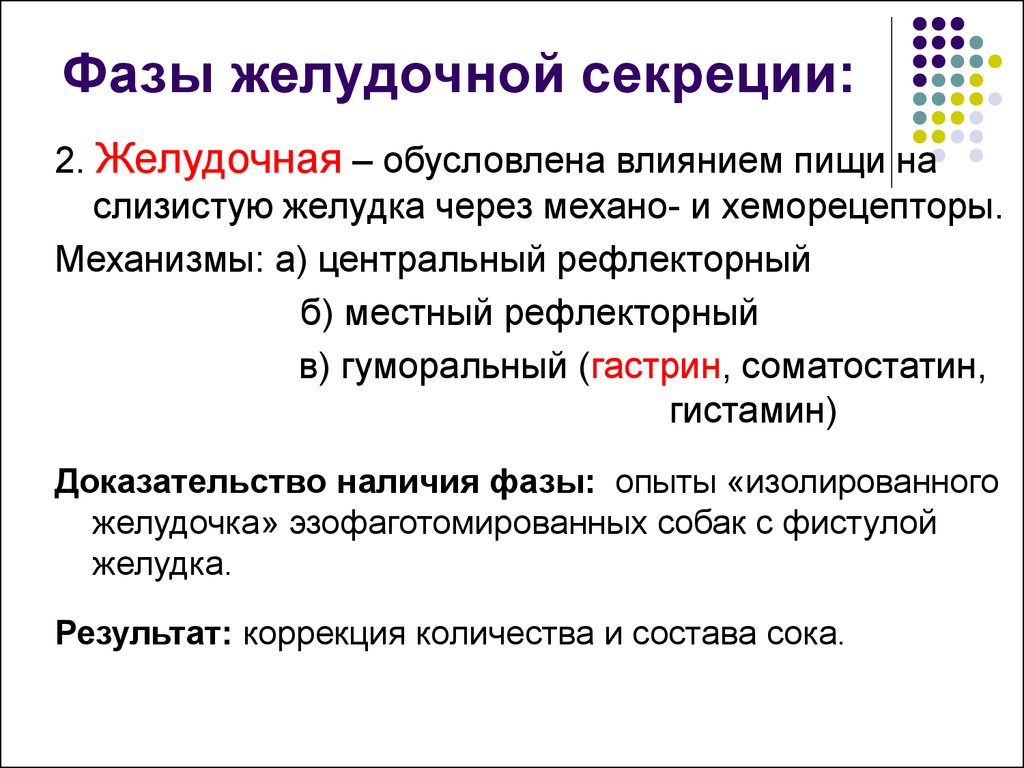 Фазы желудочной секреции презентация