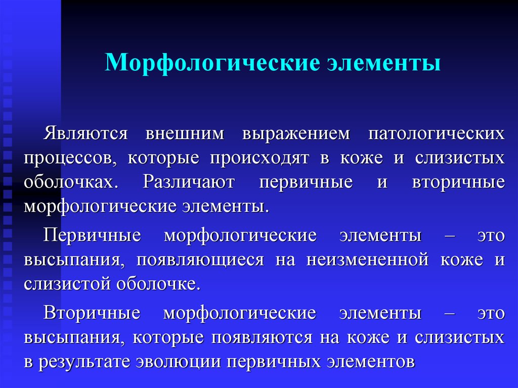 Первичные и вторичные морфологические элементы кожи презентация