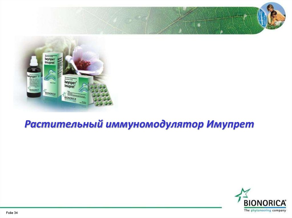 Природные иммуномодуляторы. Растительные иммуномодуляторы. Растения иммуномодуляторы. Иммуномодуляторы растительного происхождения для детей.