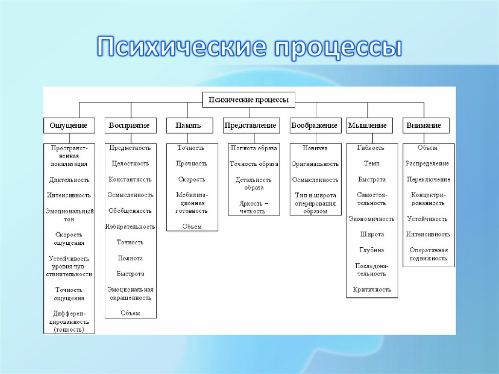 Психики психические процессы. Классификация психических процессов Рубинштейн. Классификация психических процессов таблица. Первичные психические процессы. Приведите в соответствие психические процессы и их закономерности:.