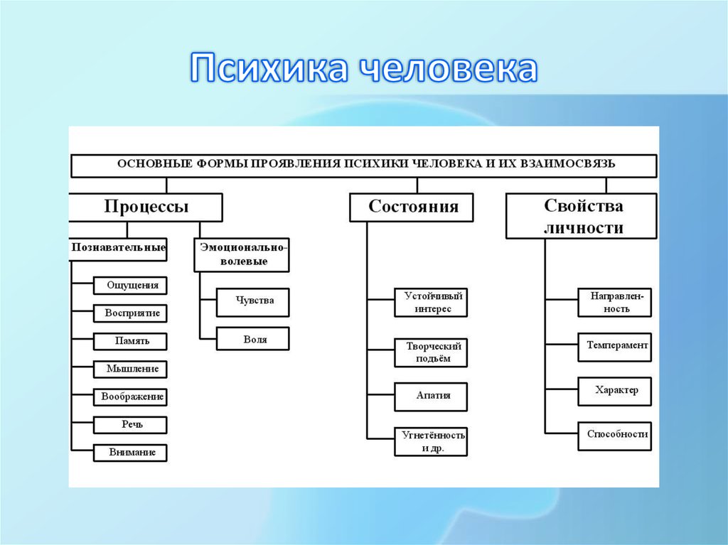 Психика человека биология 8 класс